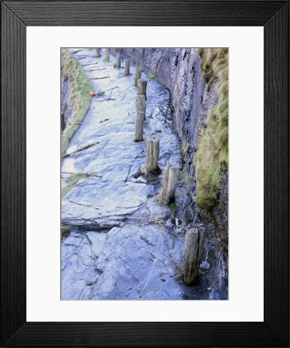 Framed Print : Picture No. 10900631 Framed Print : Picture No. 10900631