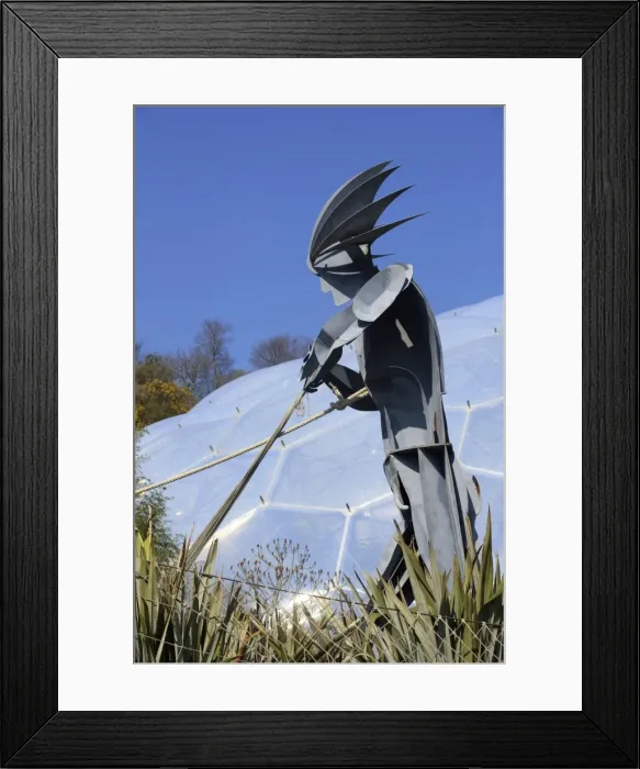 Framed Print : Picture No. 10900640 Framed Print : Picture No. 10900640