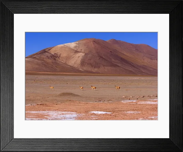 Framed Print : Picture No. 10889624 Framed Print : Picture No. 10889624