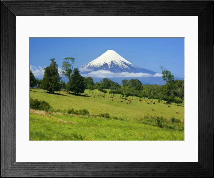 Framed Print : Picture No. 10889629