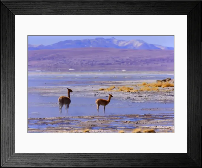 Framed Print : Picture No. 10889626 Framed Print : Picture No. 10889626