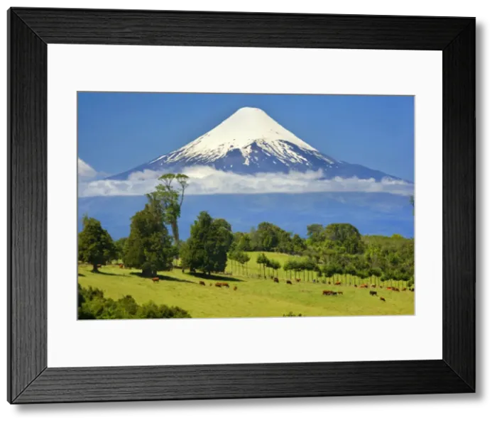 Framed Print : Picture No. 10889628