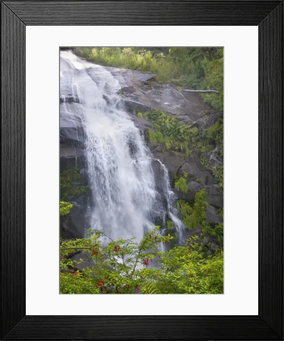 Framed Print : Picture No. 10889634 Framed Print : Picture No. 10889634
