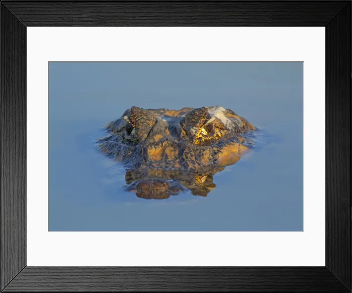 Framed Print : Picture No. 10889648