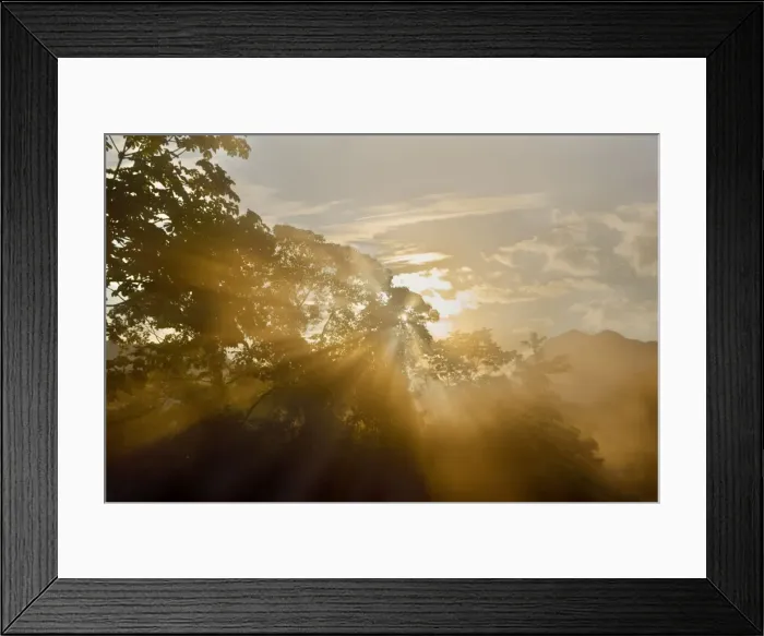 Framed Print : Picture No. 10889650 Framed Print : Picture No. 10889650