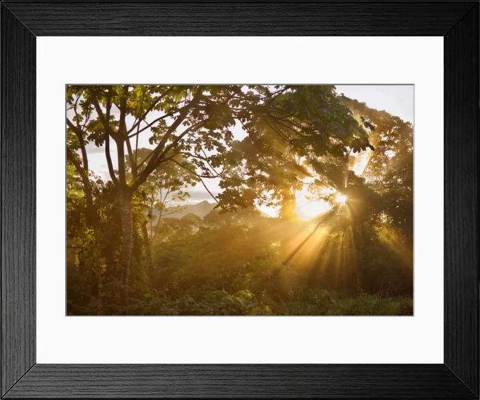 Framed Print : Picture No. 10889651 Framed Print : Picture No. 10889651