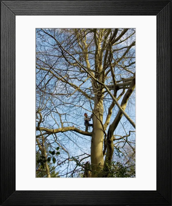 Framed Print : Picture No. 10889658 Framed Print : Picture No. 10889658
