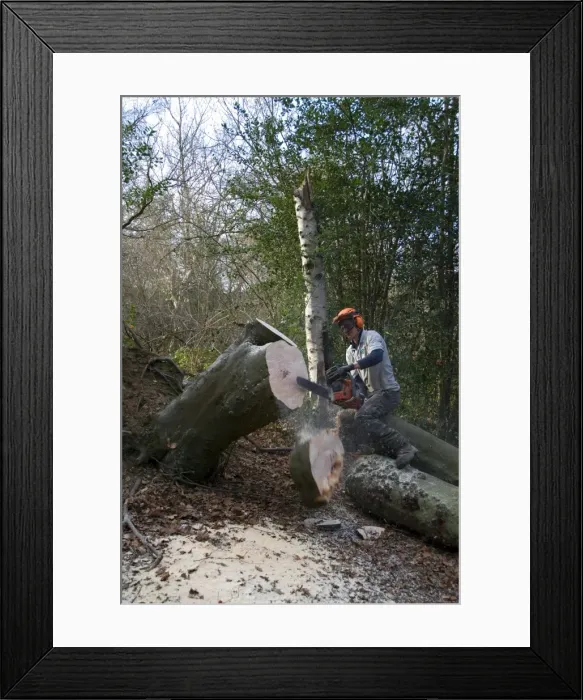 Framed Print : Picture No. 10889660 Framed Print : Picture No. 10889660