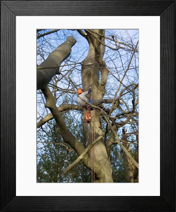 Framed Print : Picture No. 10889659 Framed Print : Picture No. 10889659
