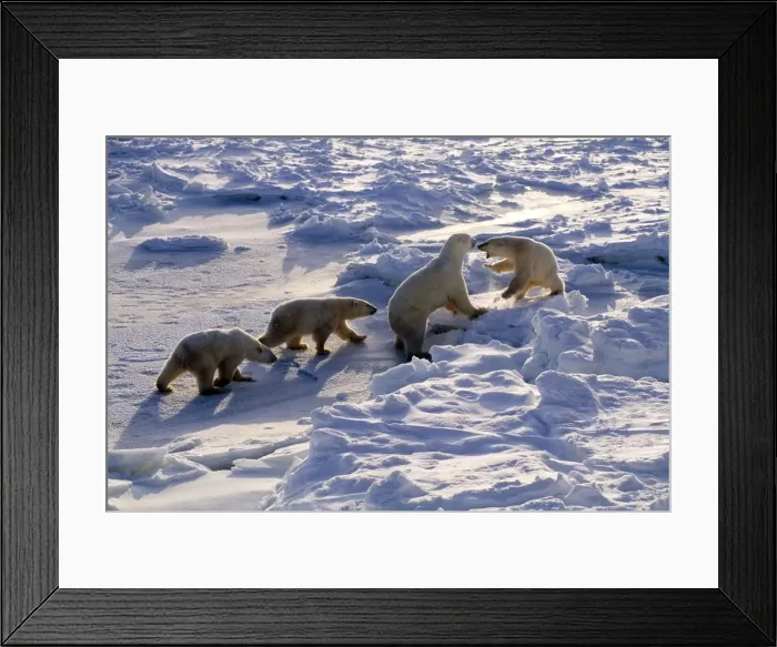 Framed Print : Picture No. 10889661 Framed Print : Picture No. 10889661