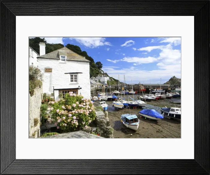 Framed Print : Picture No. 10900644 Framed Print : Picture No. 10900644