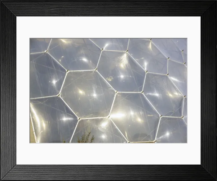 Framed Print : Picture No. 10900643 Framed Print : Picture No. 10900643