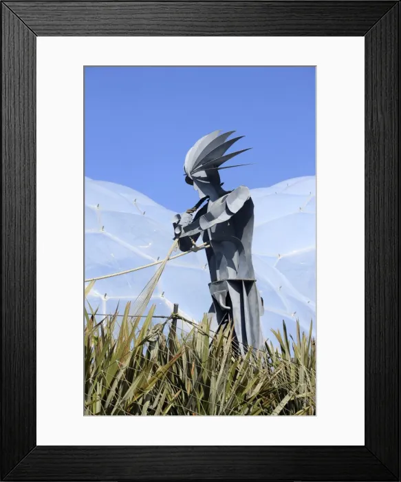Framed Print : Picture No. 10900639 Framed Print : Picture No. 10900639
