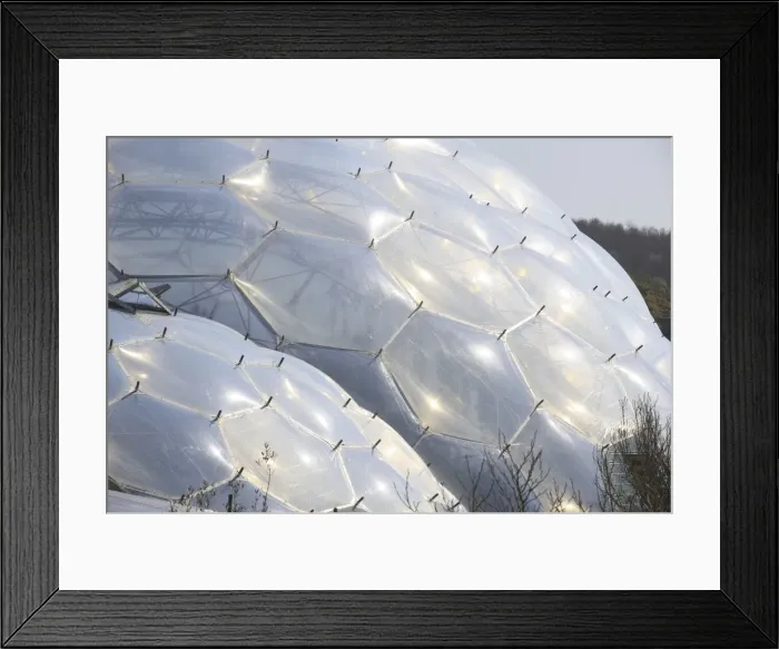 Framed Print : Picture No. 10900642 Framed Print : Picture No. 10900642