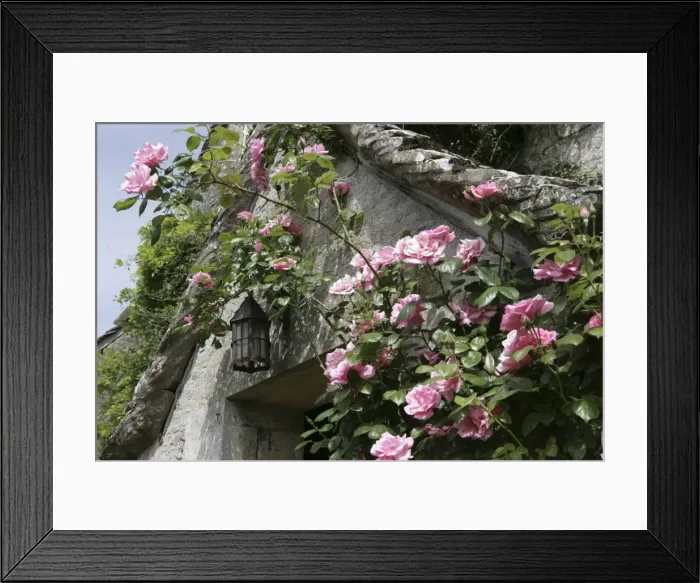 Framed Print : Picture No. 10900648 Framed Print : Picture No. 10900648