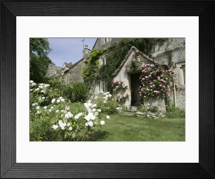Framed Print : Picture No. 10900649 Framed Print : Picture No. 10900649