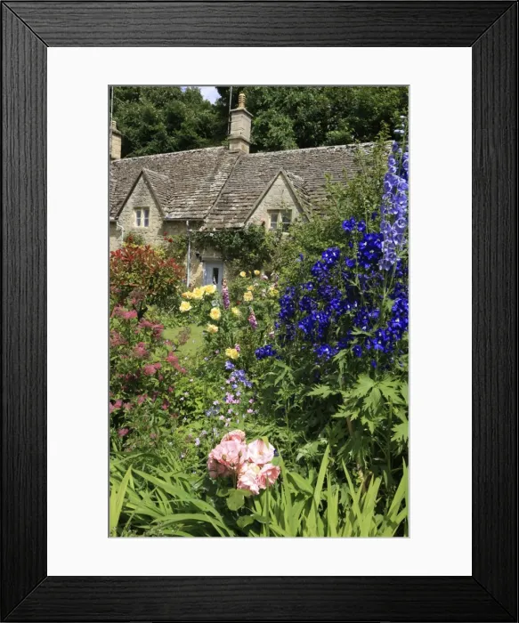 Framed Print : Picture No. 10900651 Framed Print : Picture No. 10900651