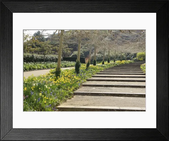Framed Print : Picture No. 10900638 Framed Print : Picture No. 10900638