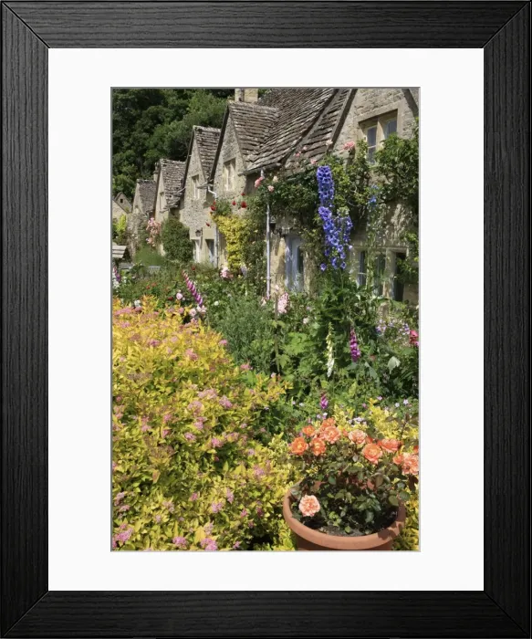 Framed Print : Picture No. 10900653