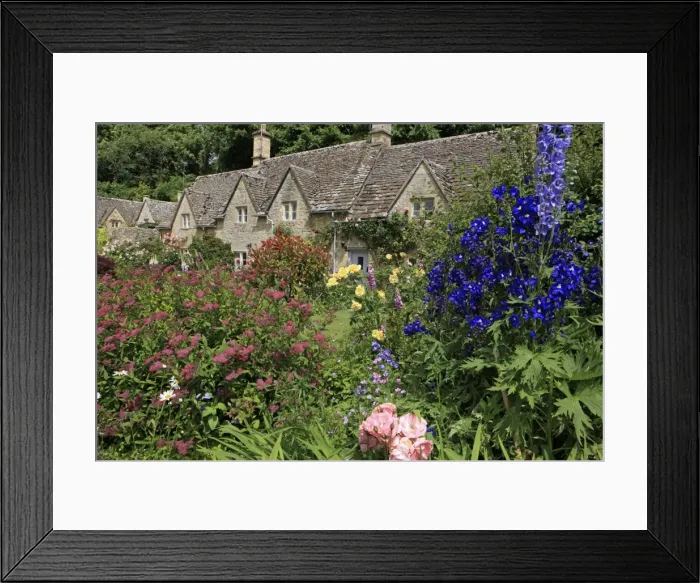 Framed Print : Picture No. 10900652