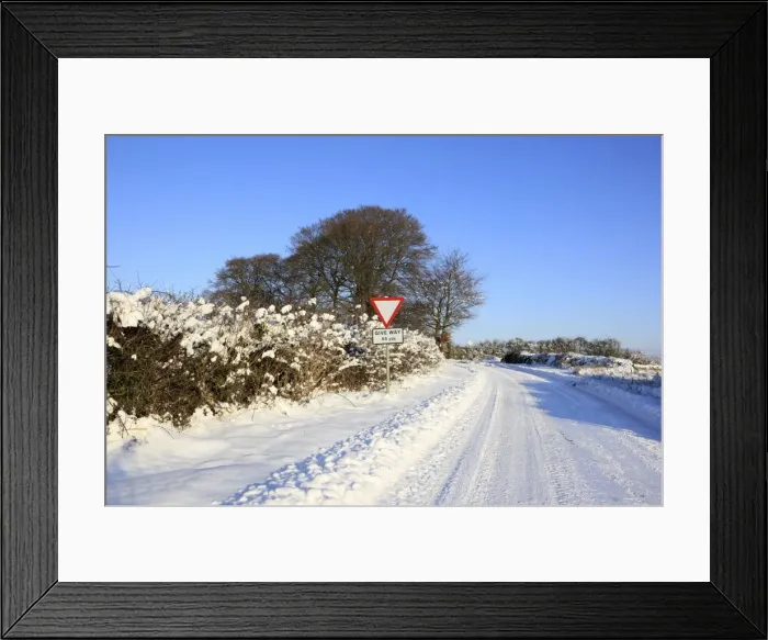 Framed Print : Picture No. 10900665 Framed Print : Picture No. 10900665
