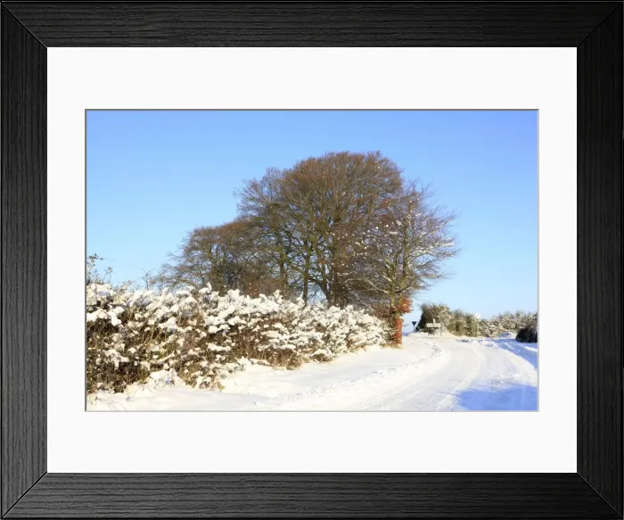 Framed Print : Picture No. 10900664 Framed Print : Picture No. 10900664