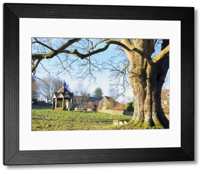 Framed Print : Picture No. 10900676