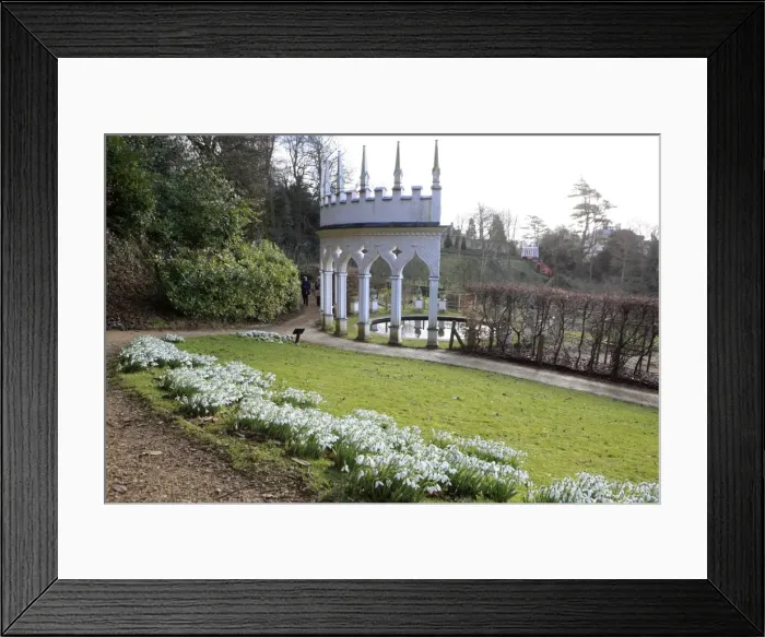Framed Print : Picture No. 10900679 Framed Print : Picture No. 10900679