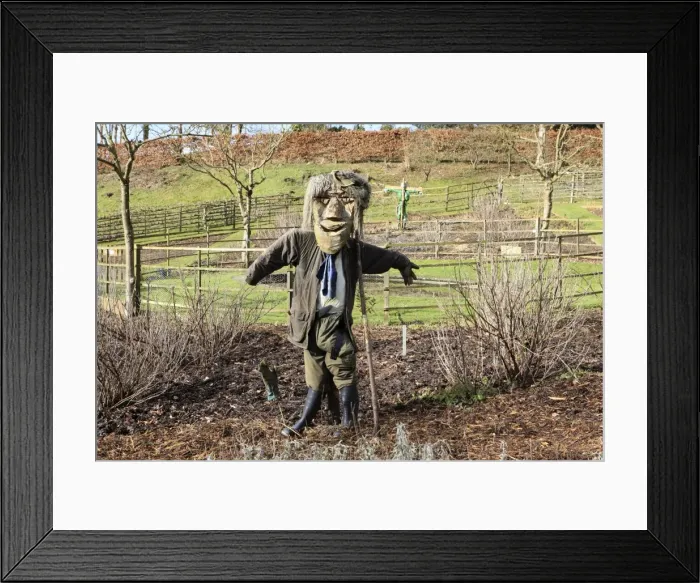Framed Print : Picture No. 10900680