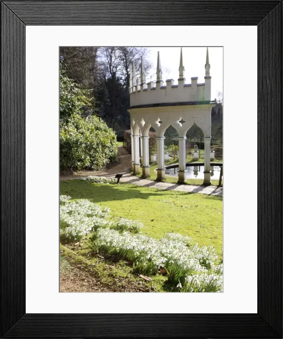 Framed Print : Picture No. 10900681 Framed Print : Picture No. 10900681