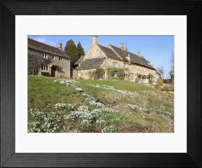 Framed Print : Picture No. 10900685 Framed Print : Picture No. 10900685