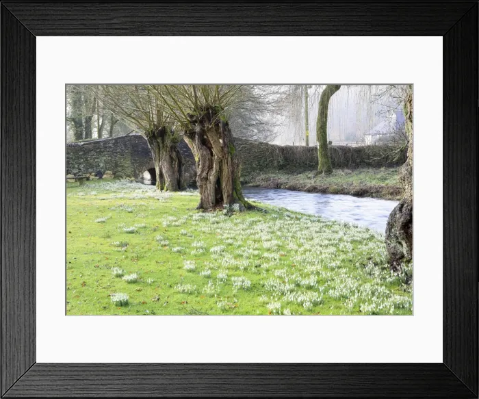 Framed Print : Picture No. 10900683 Framed Print : Picture No. 10900683