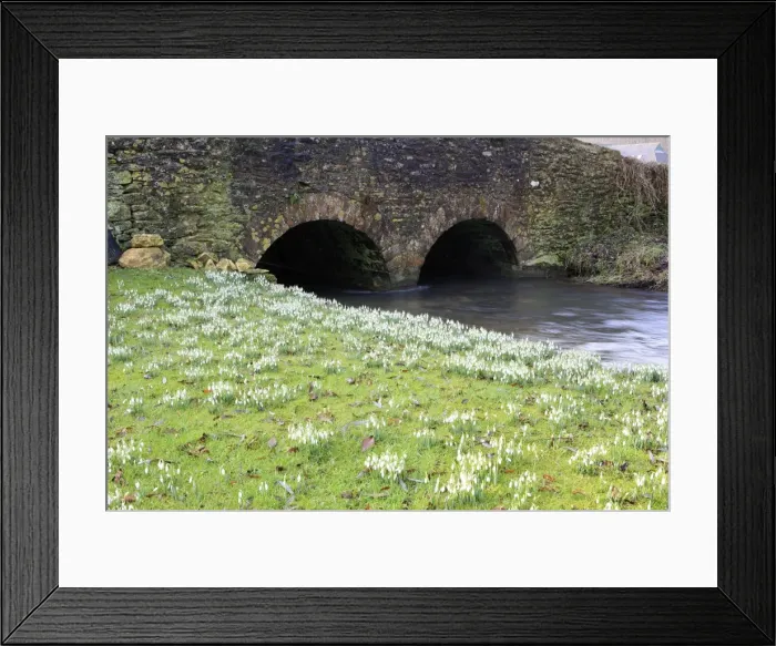 Framed Print : Picture No. 10900684 Framed Print : Picture No. 10900684