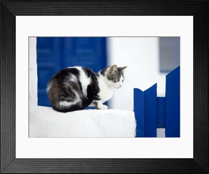 Framed Print : Picture No. 10890242 Framed Print : Picture No. 10890242