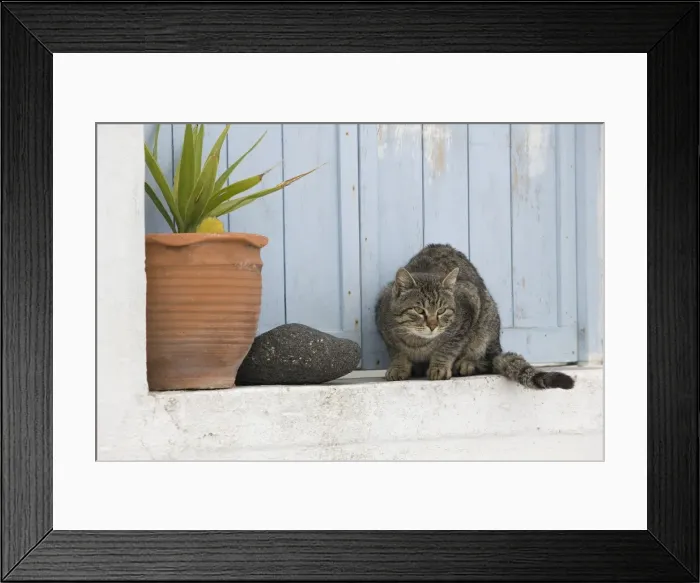 Framed Print : Picture No. 10890233 Framed Print : Picture No. 10890233