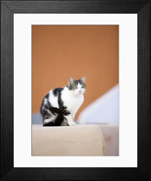 Framed Print : Picture No. 10890243 Framed Print : Picture No. 10890243