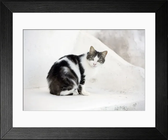 Framed Print : Picture No. 10890241 Framed Print : Picture No. 10890241