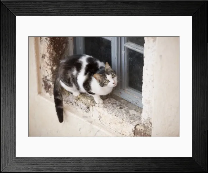 Framed Print : Picture No. 10890246 Framed Print : Picture No. 10890246