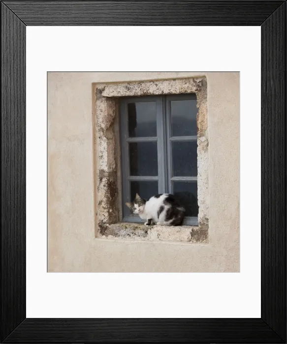 Framed Print : Picture No. 10890247 Framed Print : Picture No. 10890247