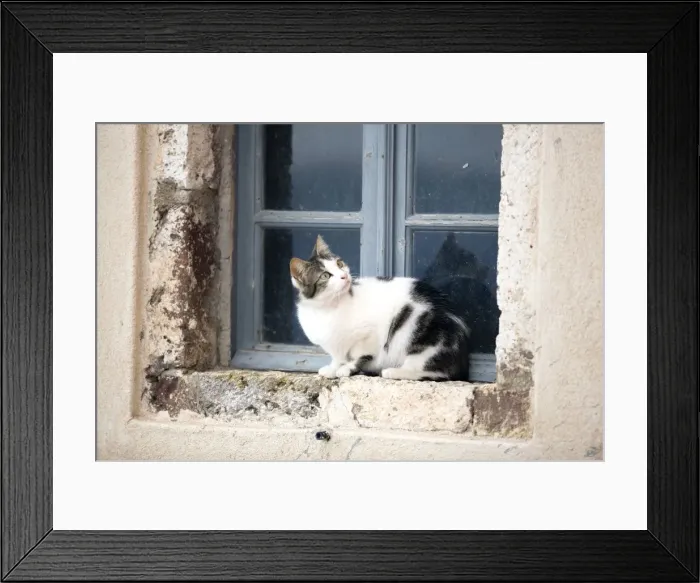 Framed Print : Picture No. 10890249 Framed Print : Picture No. 10890249