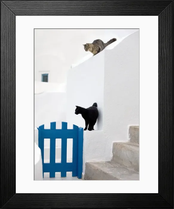 Framed Print : Picture No. 10890253 Framed Print : Picture No. 10890253