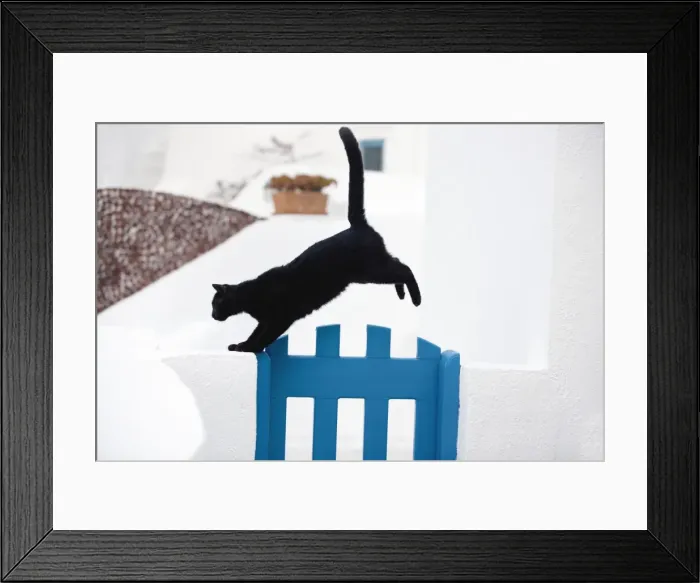 Framed Print : Picture No. 10890256 Framed Print : Picture No. 10890256