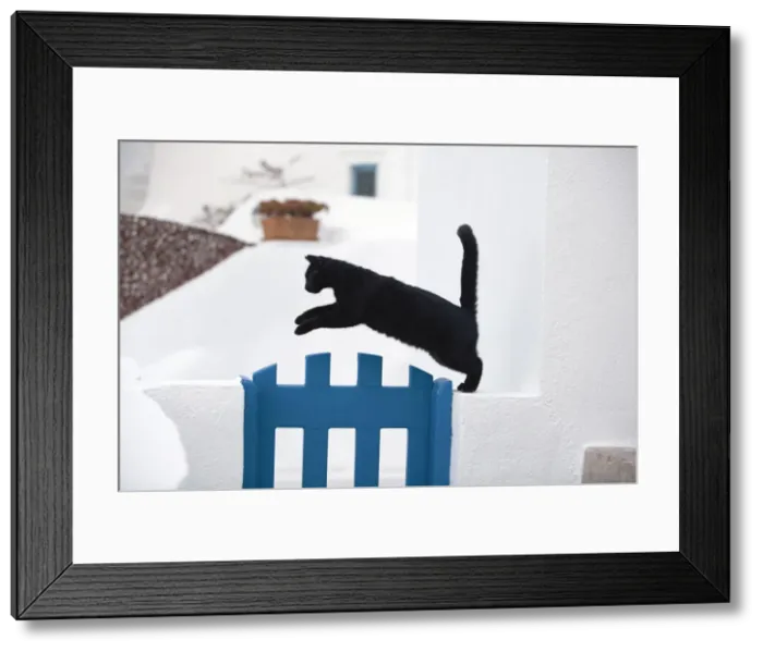 Framed Print : Picture No. 10890255