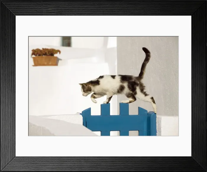 Framed Print : Picture No. 10890263 Framed Print : Picture No. 10890263
