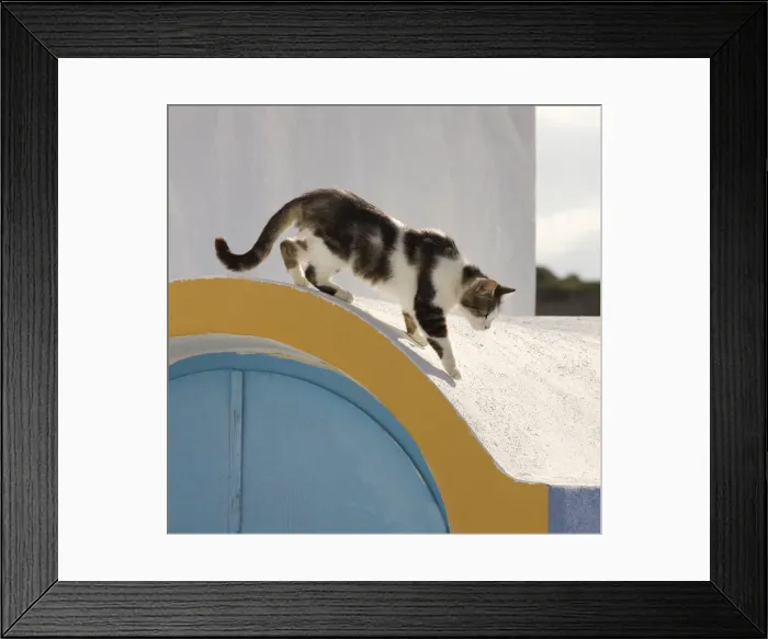 Framed Print : Picture No. 10890265 Framed Print : Picture No. 10890265