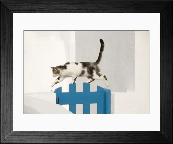 Framed Print : Picture No. 10890269 Framed Print : Picture No. 10890269