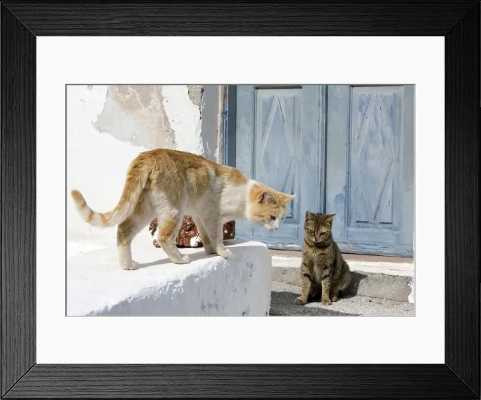 Framed Print : Picture No. 10890281 Framed Print : Picture No. 10890281
