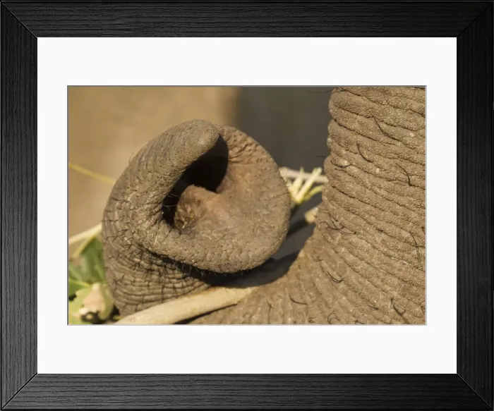 Framed Print : Picture No. 10900858 Framed Print : Picture No. 10900858