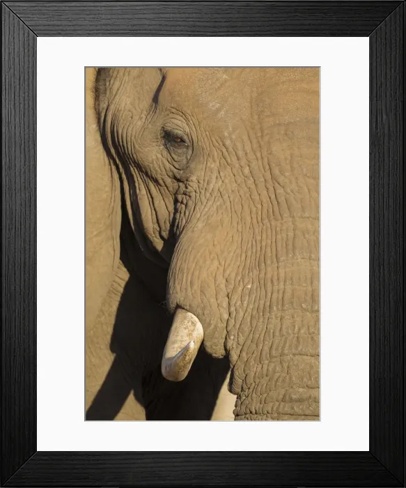 Framed Print : Picture No. 10900845 Framed Print : Picture No. 10900845