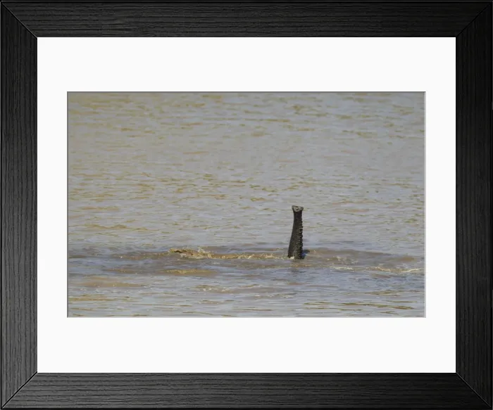 Framed Print : Picture No. 10900867 Framed Print : Picture No. 10900867